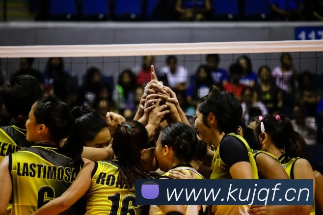 App Interface Preview